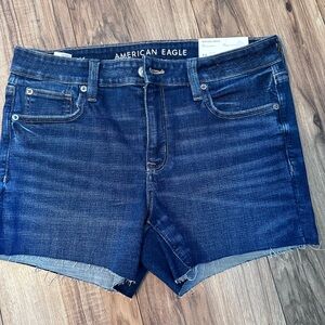 American Eagle Outfitters Blue Jean Shorts with Distressed Hem